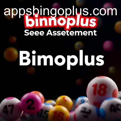 Understanding User Agreements: A Closer Look at Bingoplus